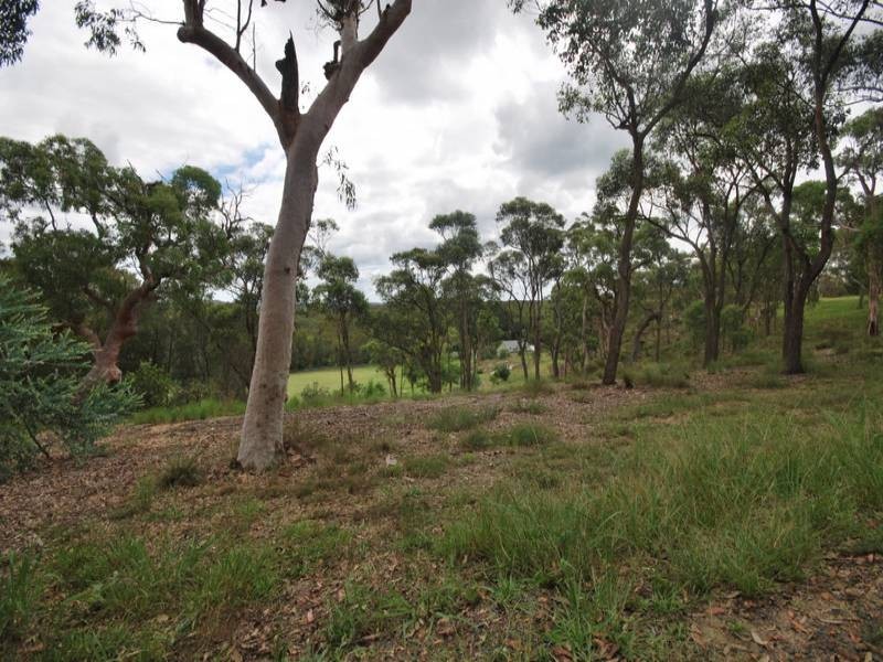 Wisemans Ferry Road, Mangrove Mountain NSW 2250