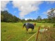 154 Pacific Highway, Kangy Angy NSW 2258