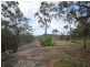 59 Baines Road, Mangrove Mountain NSW 2250