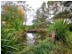 59 Baines Road, Mangrove Mountain NSW 2250