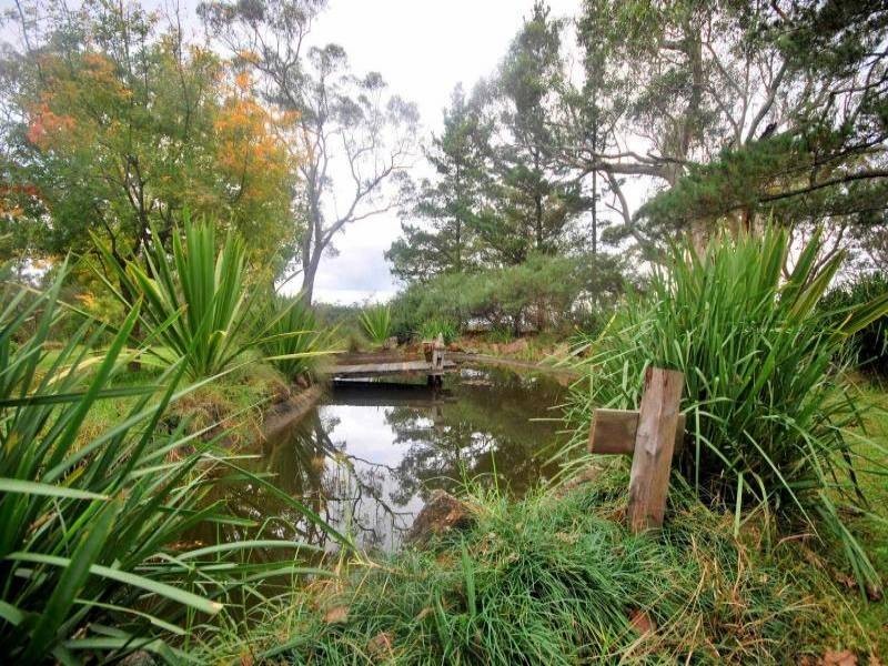 59 Baines Road, Mangrove Mountain NSW 2250