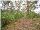 12 Tottenham Place, North Gosford NSW 2250