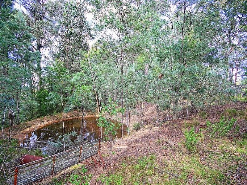 169 Lyrebird Lane, Ourimbah NSW 2258