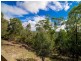 19/3 Private Road, Bucketty NSW 2250
