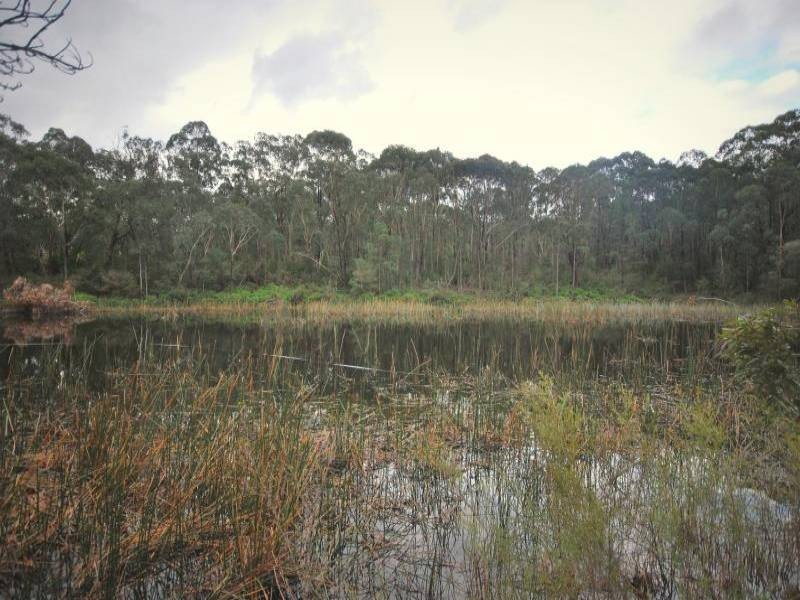 Peats Ridge NSW 2250