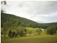 375 Ourimbah Creek Road, Ourimbah NSW 2258