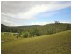 375 Ourimbah Creek Road, Ourimbah NSW 2258
