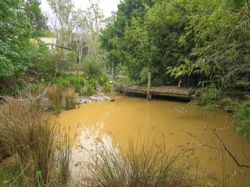 156 The Ridgeway, Lisarow NSW 2250