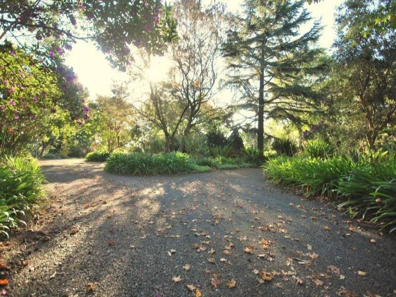 157 Bloodtree Road, Mangrove Mountain NSW 2250