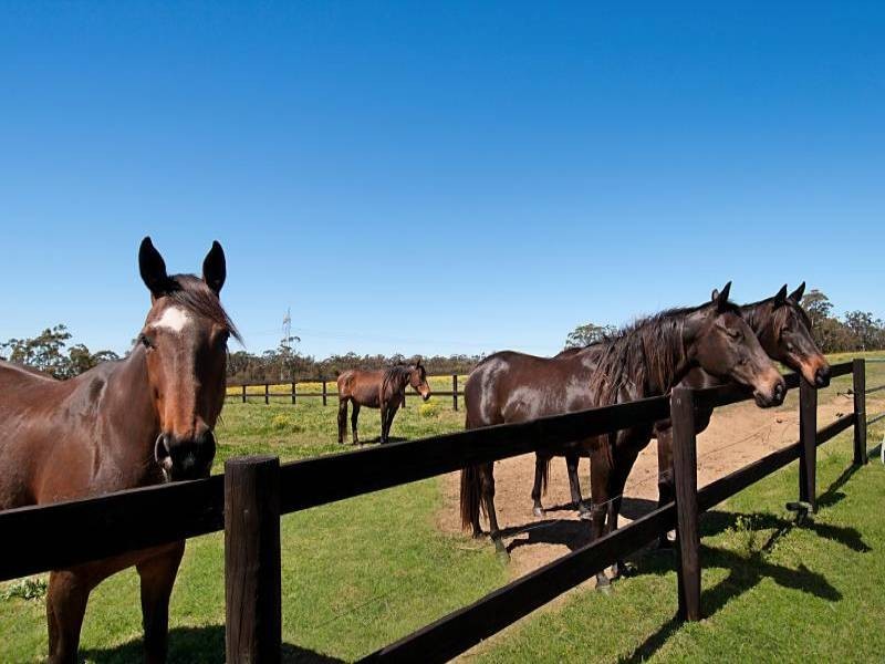 140 Hallards Road, Central Mangrove NSW 2250
