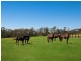 140 Hallards Road, Central Mangrove NSW 2250