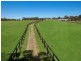 140 Hallards Road, Central Mangrove NSW 2250