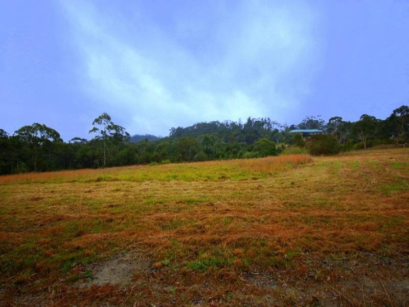 45 Baines, Mangrove Mountain NSW 2250