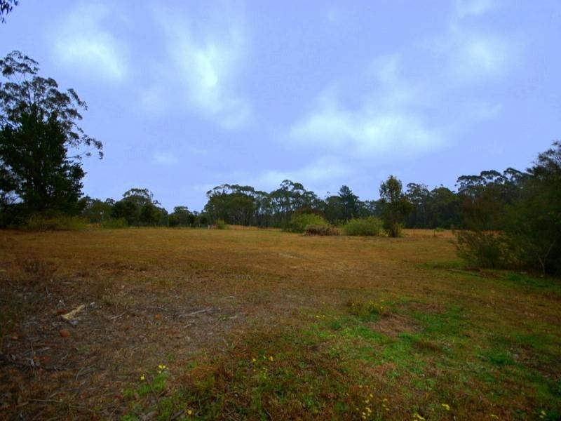 45 Baines, Mangrove Mountain NSW 2250