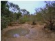 45 Baines, Mangrove Mountain NSW 2250