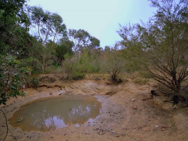 45 Baines, Mangrove Mountain NSW 2250