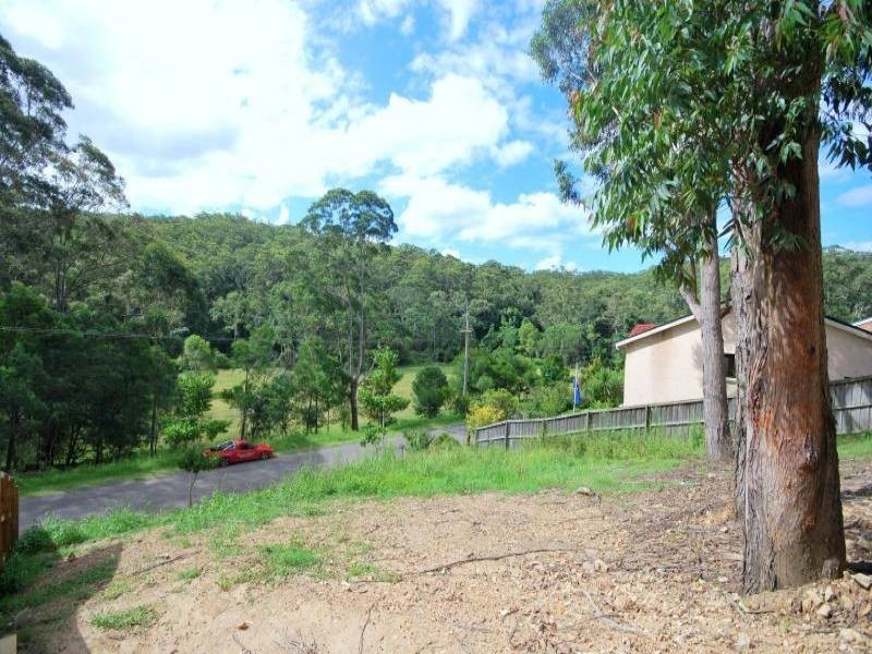 98 Chamberlain Road, Wyoming NSW 2250