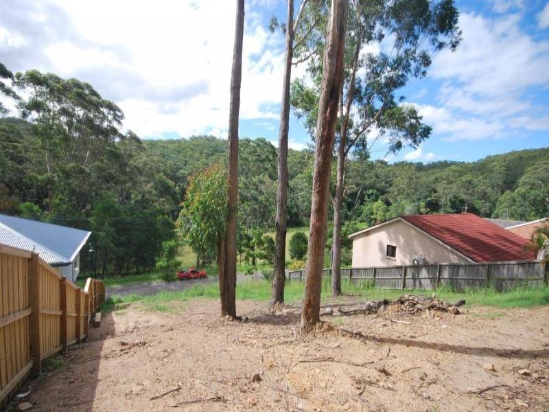 98 Chamberlain Road, Wyoming NSW 2250