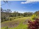 386 The Ridgeway, Holgate NSW 2250