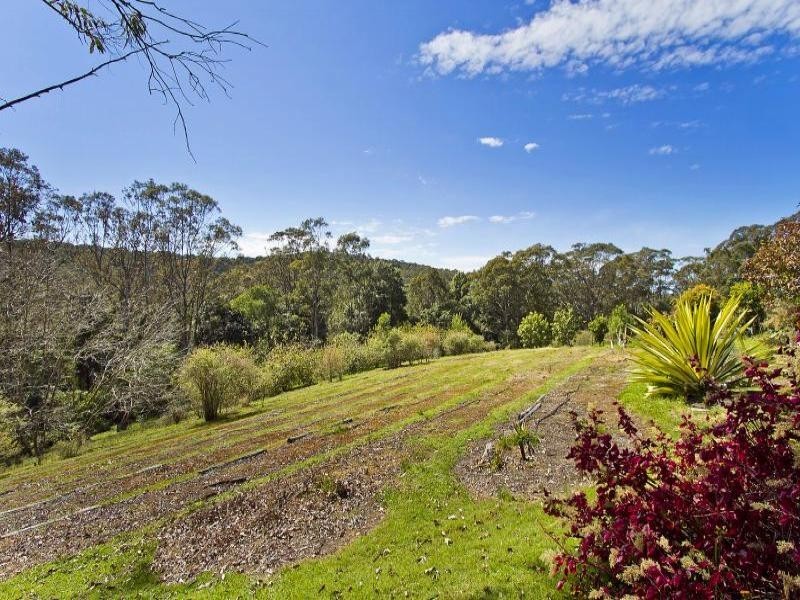 386 The Ridgeway, Holgate NSW 2250