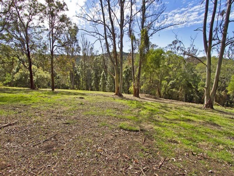 386 The Ridgeway, Holgate NSW 2250