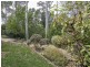 11 The Rise, Lisarow NSW 2250
