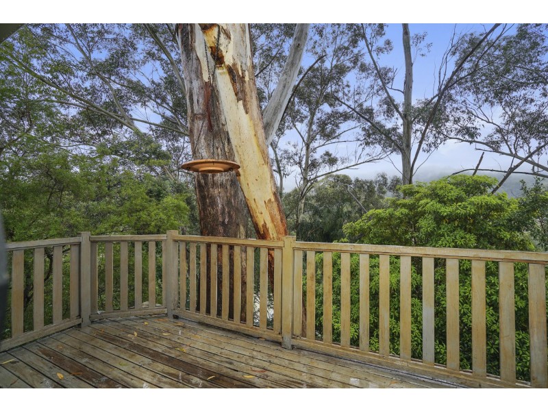 6 South Crescent, North Gosford NSW 2250