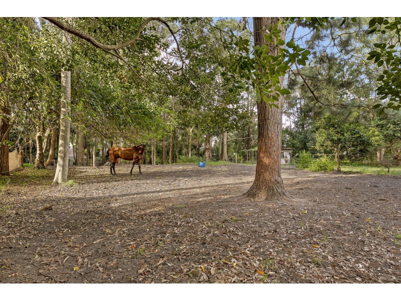 101 Carrington Street, Narara NSW 2250