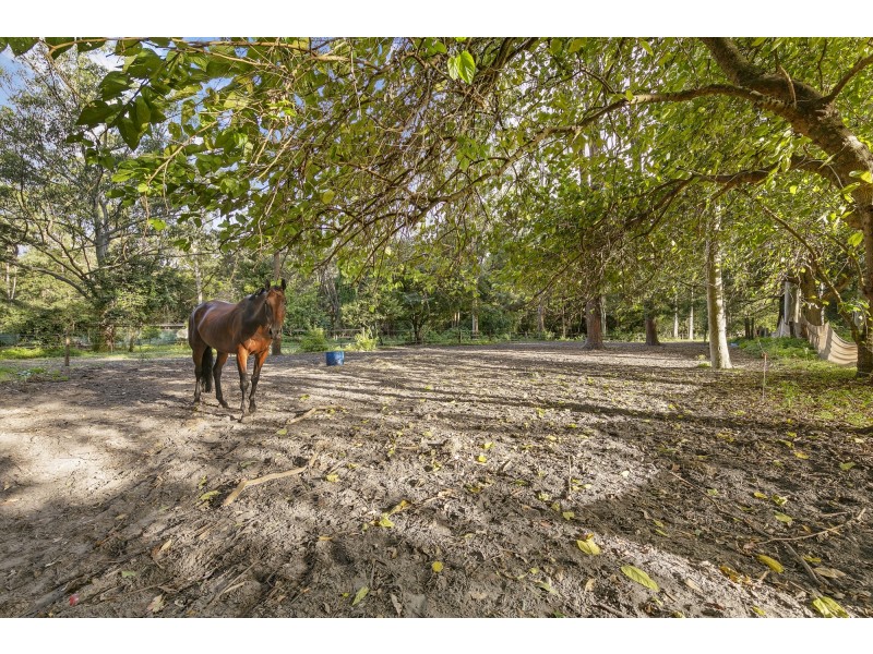 101 Carrington Street, Narara NSW 2250