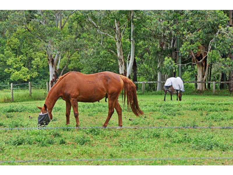 18 Beechwood Street, Ourimbah NSW 2258