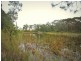 1126 Peats Ridge Road, Peats Ridge NSW 2250