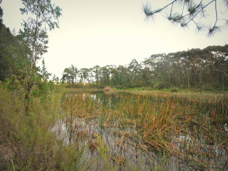 1126 Peats Ridge Road, Peats Ridge NSW 2250