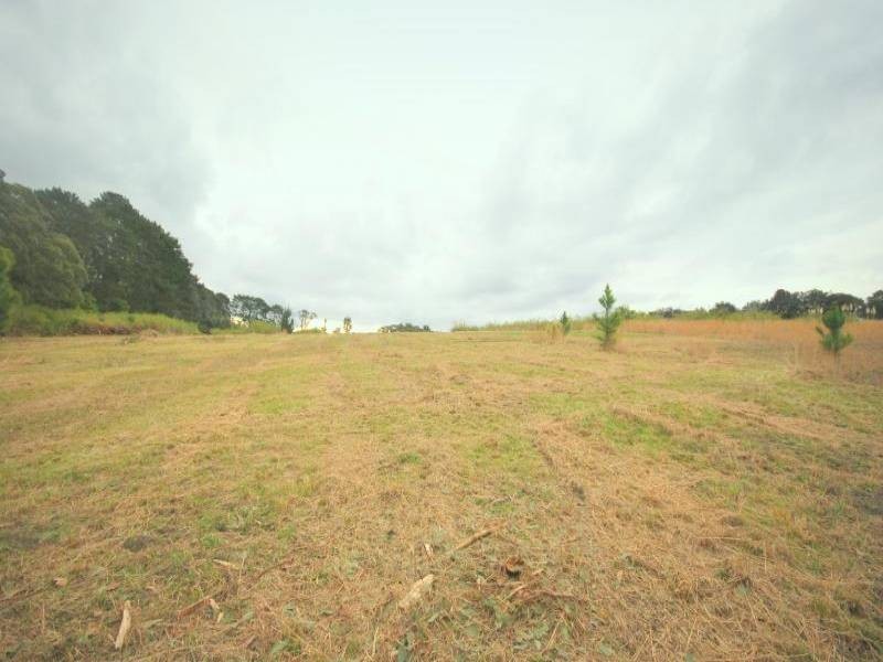1126 Peats Ridge Road, Peats Ridge NSW 2250