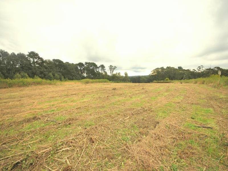 1126 Peats Ridge Road, Peats Ridge NSW 2250
