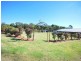 2614 Wisemans Ferry Road, Mangrove Mountain NSW 2250