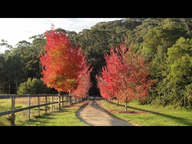 15 Shirley Street, Ourimbah NSW 2258