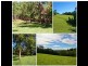 51 Coorara Road, Lisarow NSW 2250