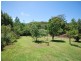70 Dog Trap Road, Ourimbah NSW 2258