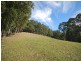 451 The Ridgeway, Tumbi Umbi NSW 2261