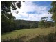 451 The Ridgeway, Tumbi Umbi NSW 2261