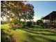 157 Bloodtree Road, Mangrove Mountain NSW 2250