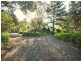 157 Bloodtree Road, Mangrove Mountain NSW 2250