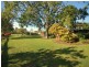 157 Bloodtree Road, Mangrove Mountain NSW 2250