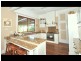 157 Bloodtree Road, Mangrove Mountain NSW 2250