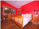 157 Bloodtree Road, Mangrove Mountain NSW 2250