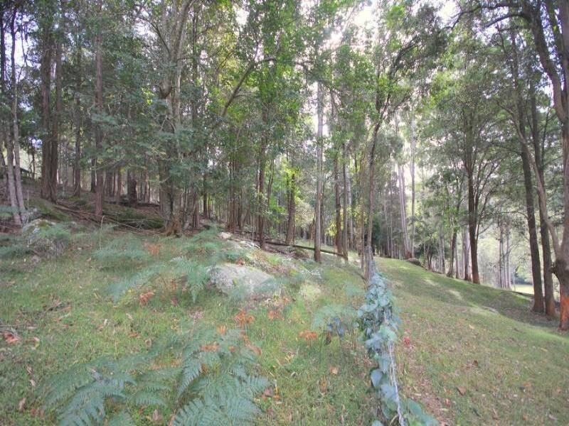 375 Ourimbah Creek Road, Ourimbah NSW 2258