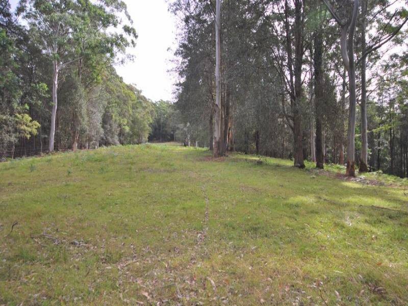 375 Ourimbah Creek Road, Ourimbah NSW 2258