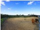 176 Greta Road, Kulnura NSW 2250