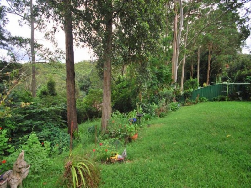 51 Rain Forest Road, Wyoming NSW 2250