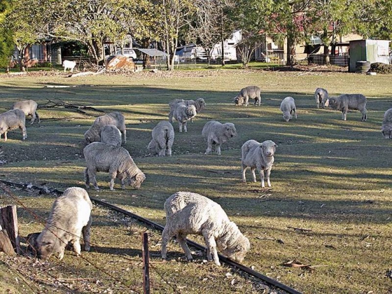 125 Berecry Road, Mangrove Mountain NSW 2250